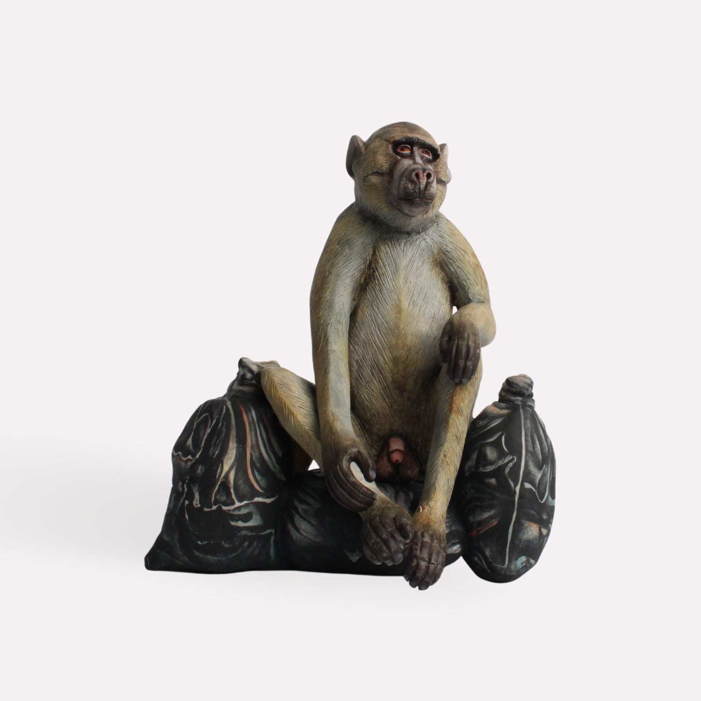 Baboon With Waste Bags