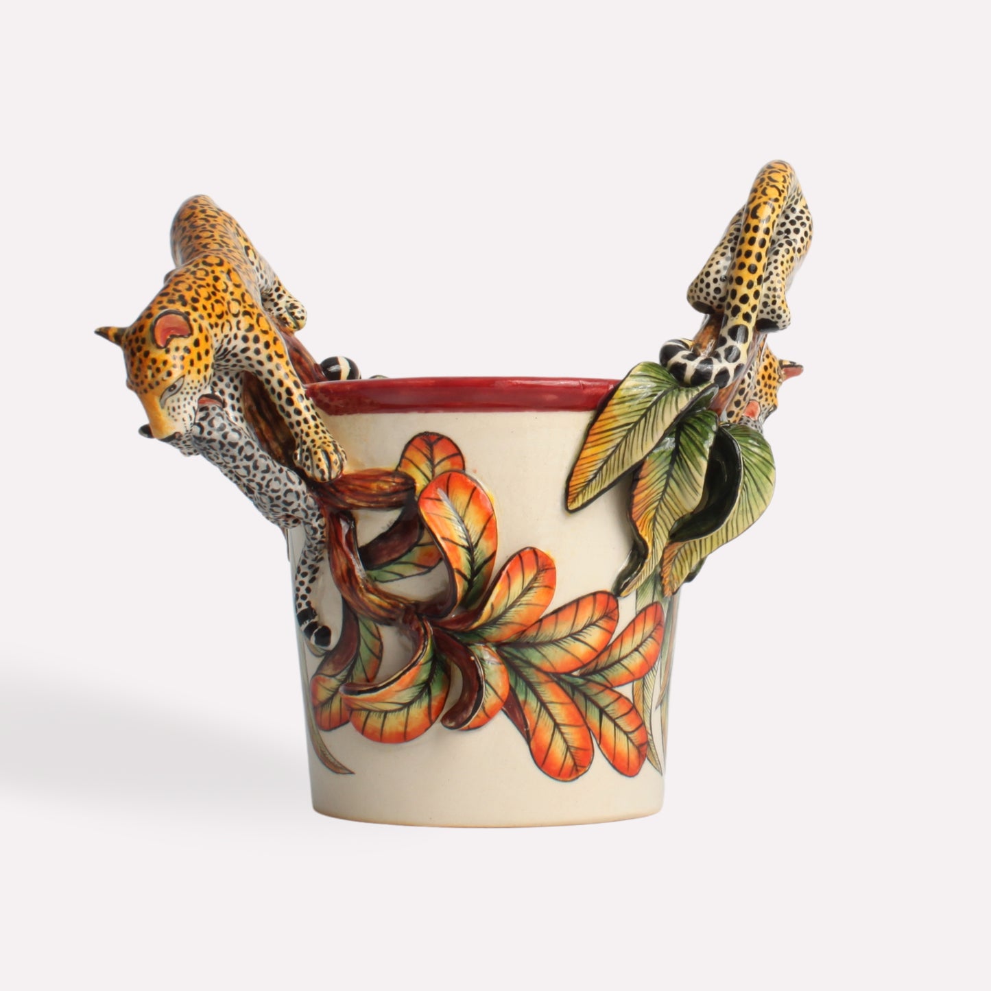 Leopard Orchid Planter