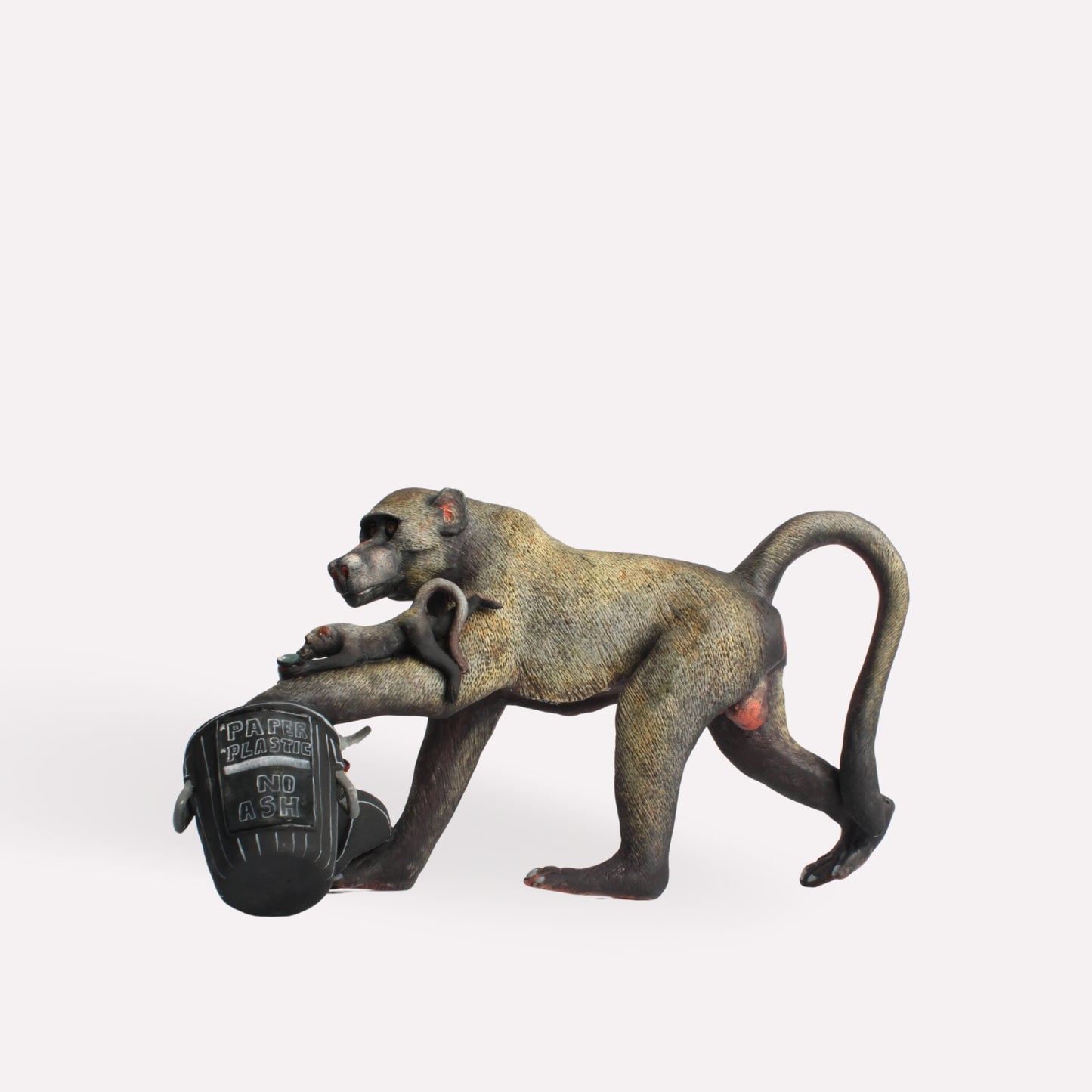 Baboon Rummaging Waste Bin