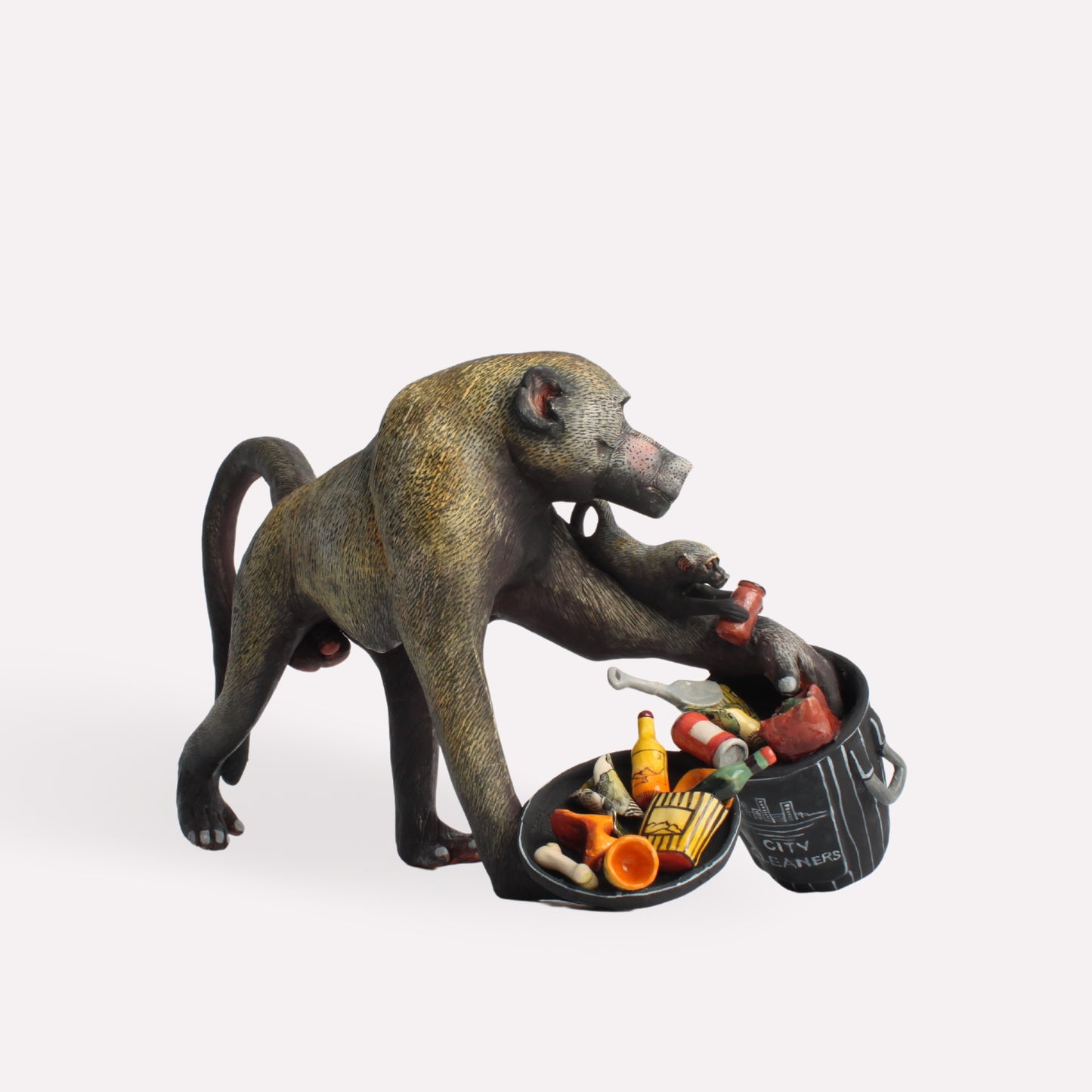 Baboon Rummaging Waste Bin